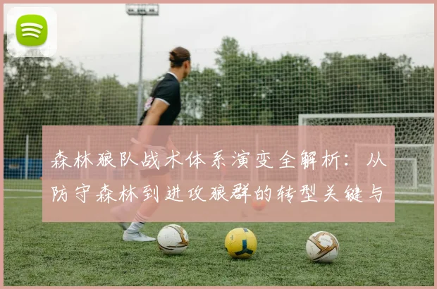 森林狼队战术体系演变全解析：从防守森林到进攻狼群的转型关键与打法详解
