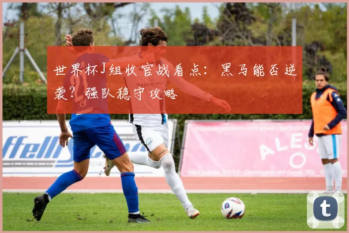 世界杯J组收官战看点：黑马能否逆袭？强队稳守攻略